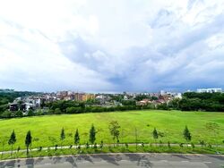 The Botany At Dairy Farm (D23), Condominium #556052041